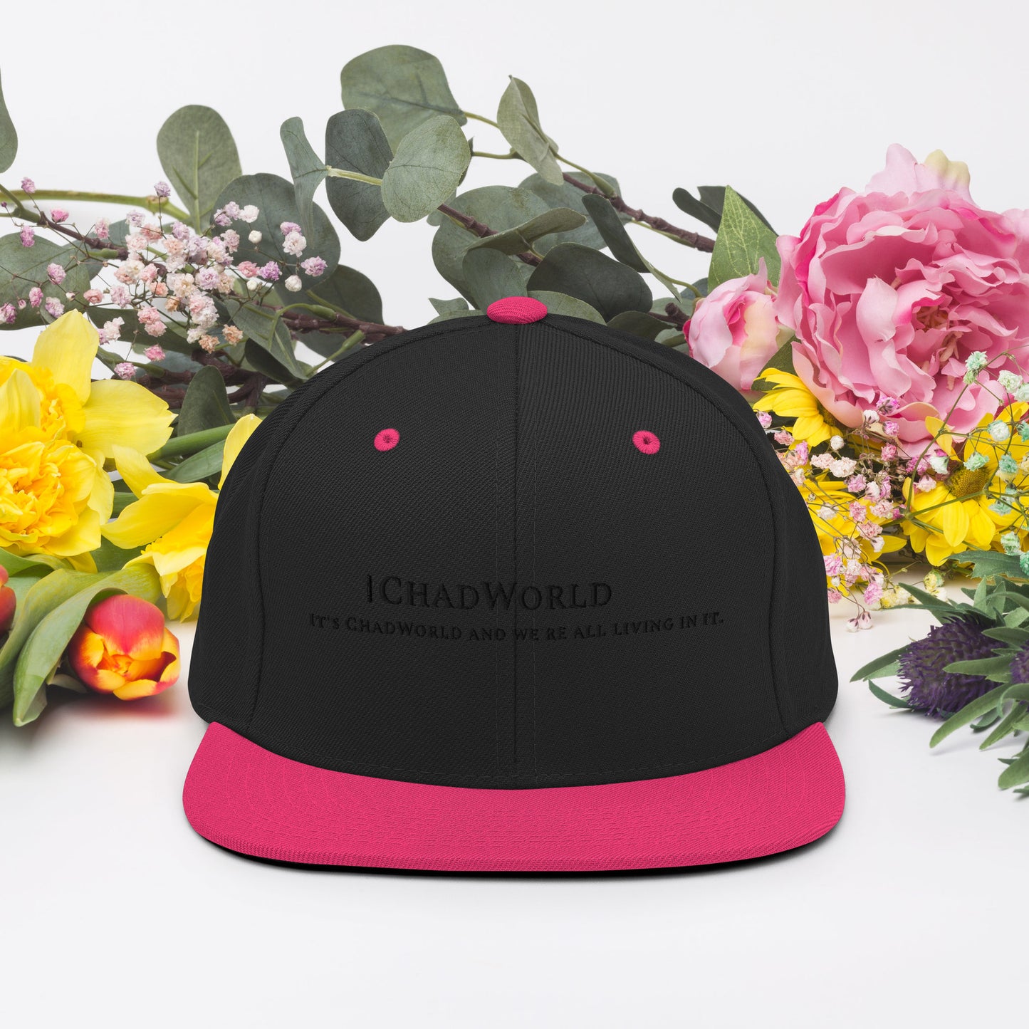 Snapback Hat