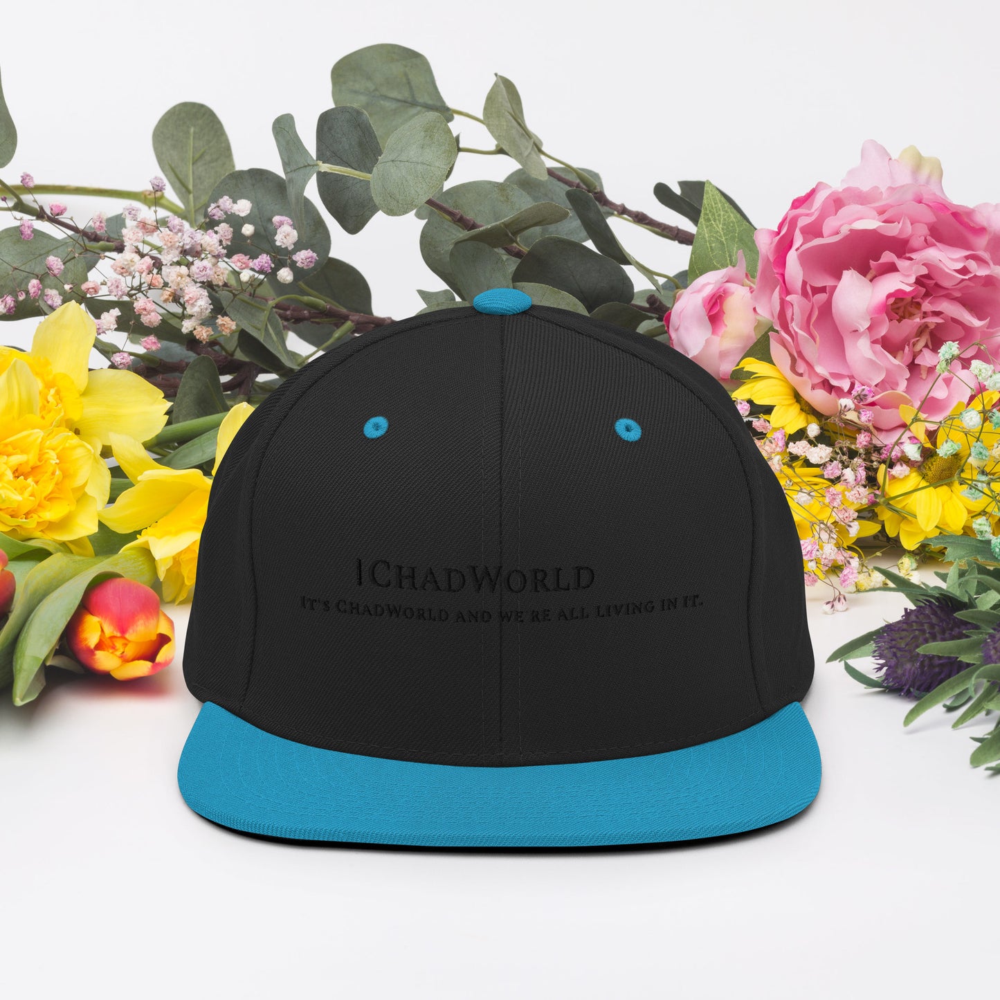 Snapback Hat