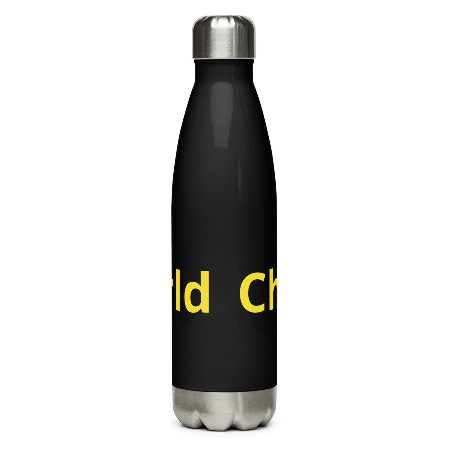 Stainless Steel Water Bottle