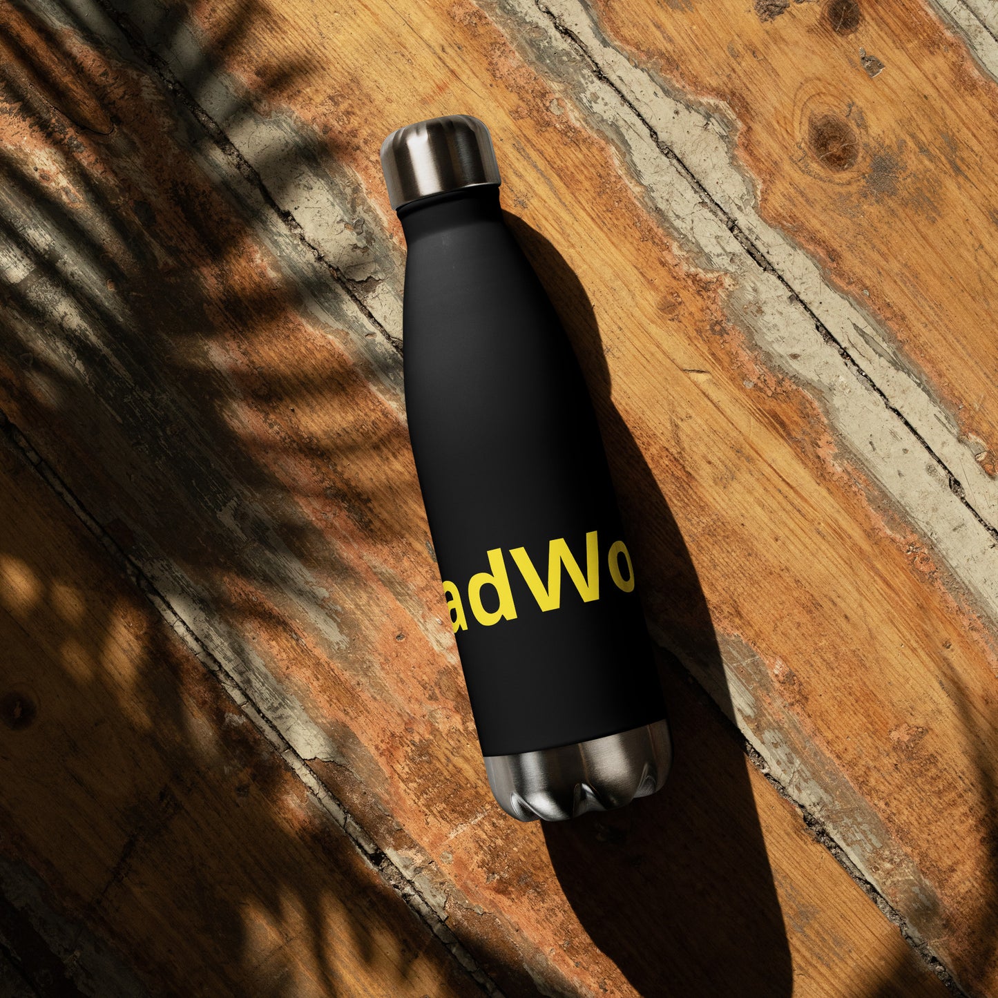 Stainless Steel Water Bottle