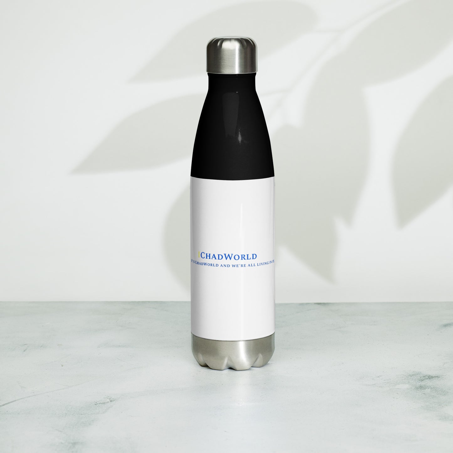 Stainless Steel Water Bottle