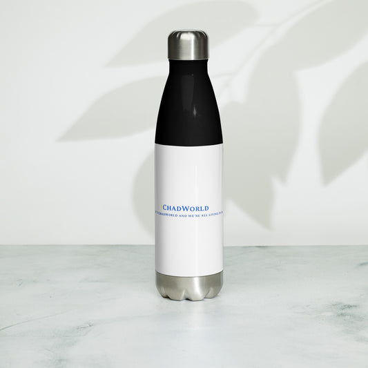 Stainless Steel Water Bottle
