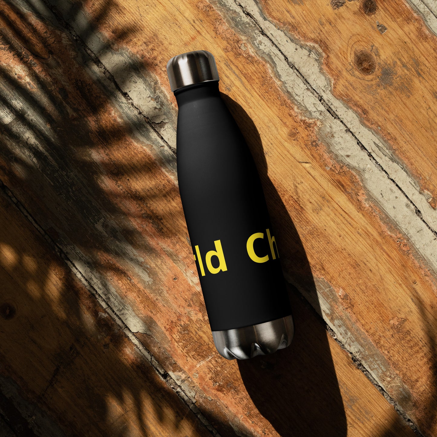 Stainless Steel Water Bottle