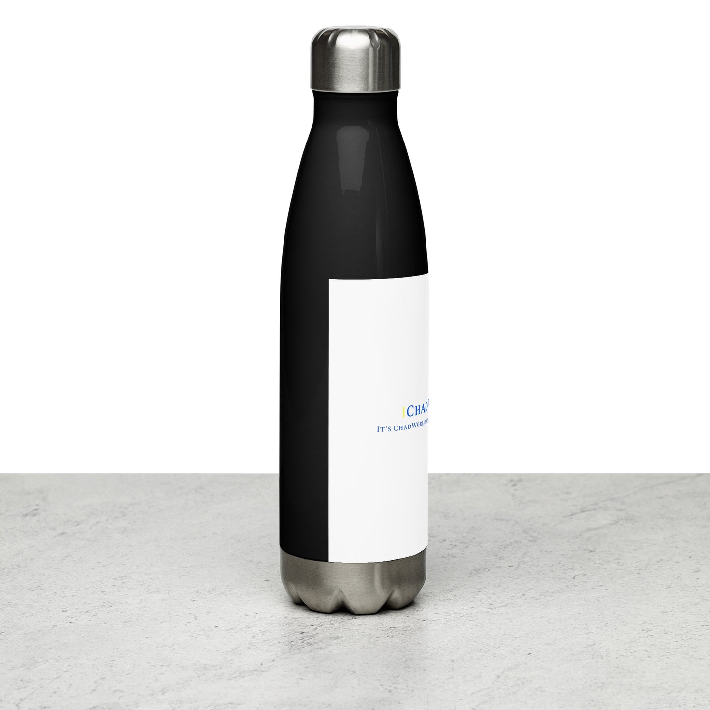 Stainless Steel Water Bottle